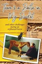 There's a Beetle in My Bucket: and other challenges facing an orphaned horse