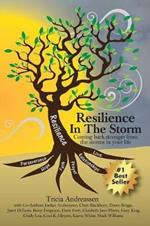 Resilience In The Storm: Coming Back Stronger From The Storms In Your Life