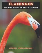 Flamingos: Wading birds of the wetlands