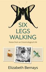 Six Legs Walking