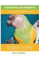 Poicephalus Parrots: Poicephalus Parrots As Pets