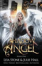 Shadow Angel: Book One