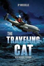 The Traveling Cat: Antonov Down