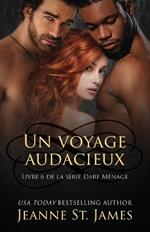 Un Voyage Audacieux: A Daring Journey