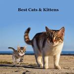 Best Cats and Kittens for Kids Book: Great Way for Children to Meet the Best Pet Cat and Kitten Breeds