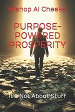 Purpose-Powered Prosperity: It's Not About Stuff