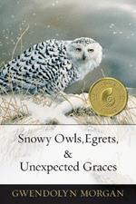 Snowy Owls, Egrets & Unexpected Graces