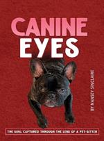 Canine Eyes: The Soul Captured Through the Lens of a Pet-Sitter