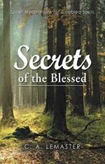 Secrets of the Blessed: Quiet Meditations for Troubled Souls