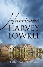 Hurricane Harvey Lowku