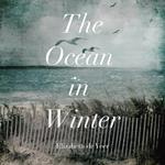 The Ocean in Winter