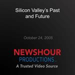 Silicon Valley's Past and Future