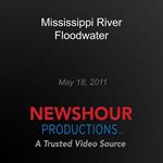 Mississippi River Floodwater