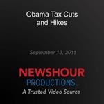 Obama Tax Cuts and Hikes