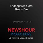 Endangered Coral Reefs Die