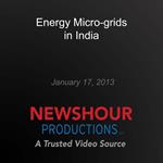 Energy Micro-grids in India