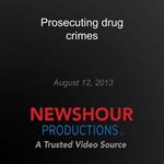 Prosecuting drug crimes