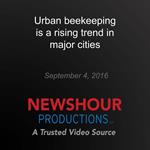 Urban beekeeping is a rising trend in major cities