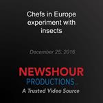 Chefs in Europe experiment with insects