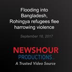Flooding into Bangladesh, Rohingya refugees flee harrowing violence