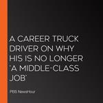 Career Truck Driver On Why His Is No Longer ‘A Middle-Class Job’, A