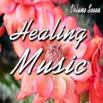 Healing Music Vol. 7