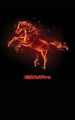 Wildfire: A Horse Diary to Write Your Story