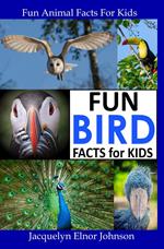 Fun Backyard Bird Facts for Kids