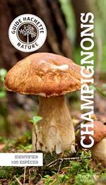 Le petit guide Hachette des champignons