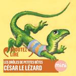 César le lézard - Les Drôles de Petites Bêtes