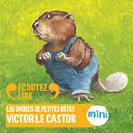 Victor le castor - Les Drôles de Petites Bêtes