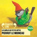 Pierrot le moineau - Les Drôles de Petites Bêtes