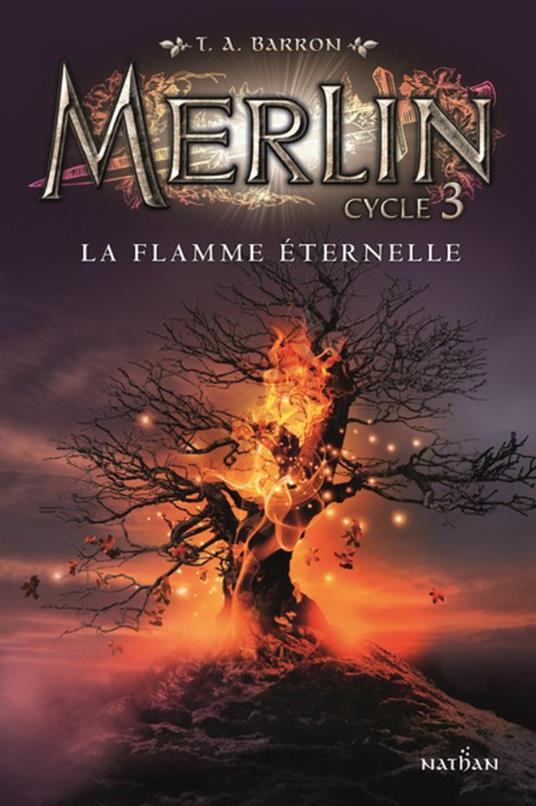 Merlin - Cycle 3 - tome 3 La flamme éternelle - T. A. Barron,Agnès Piganiol - ebook