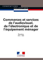 Commerces et services de l'audiovisuel, de l'électronique et de l'équipement ménager