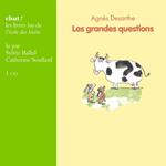 Les grandes questions