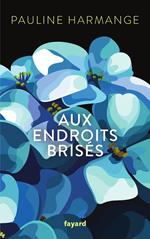 Aux endroits brisés