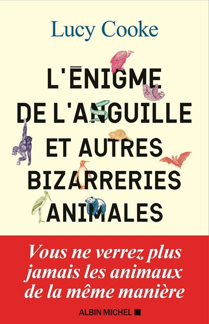 L'Enigme de l'anguille et autres bizarreries animales