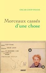 Morceaux cassés d'une chose