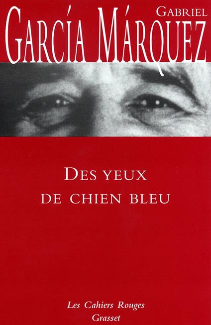 Des yeux de chien bleu