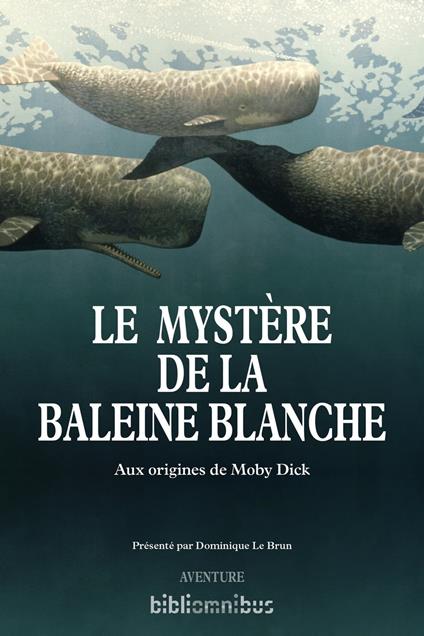 Le mystère de la baleine blanche