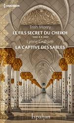 Le fils secret du cheikh - La captive des sables