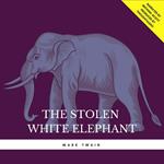 The Stolen White Elephant