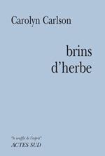 Brins d'herbe