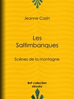 Les Saltimbanques