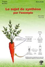 Le sujet de synthèse par l'exemple