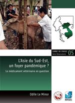 L'Asie du Sud-Est, un foyer pandémique ?