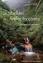 Les Libellules des Antilles françaises