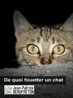 De quoi fouetter un chat