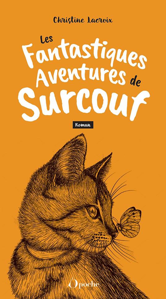 Les fantastiques aventures de Surcouf