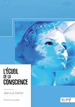 L'écueil de la conscience